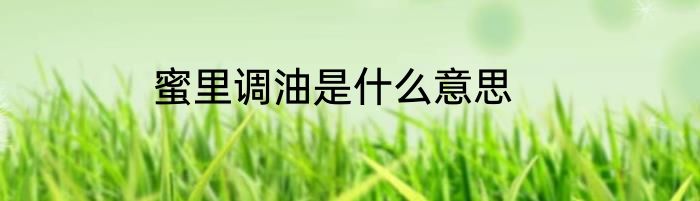 蜜里调油是什么意思