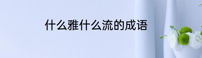 什么雅什么流的成语