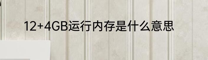 12+4GB运行内存是什么意思