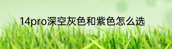 14pro深空灰色和紫色怎么选