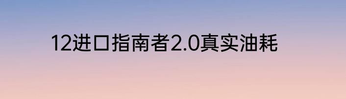 12进口指南者2.0真实油耗