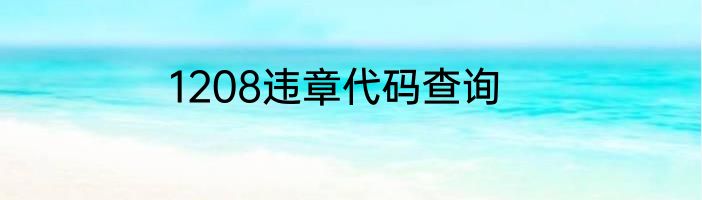 1208违章代码查询