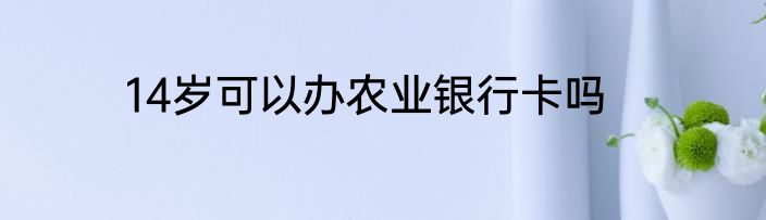 14岁可以办农业银行卡吗