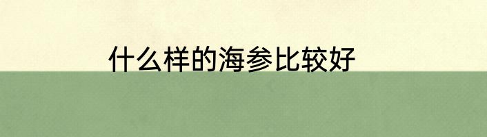 什么样的海参比较好