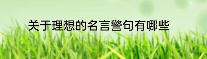关于理想的名言警句有哪些