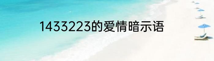 1433223的爱情暗示语