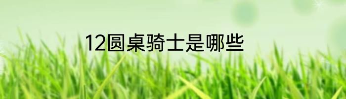 12圆桌骑士是哪些