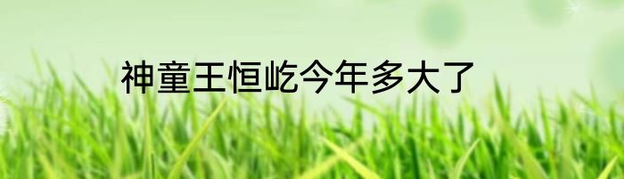 神童王恒屹今年多大了