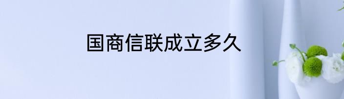 国商信联成立多久