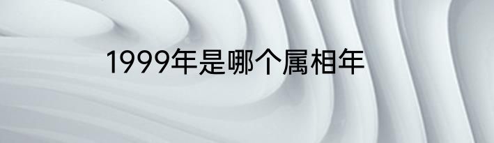 1999年是哪个属相年