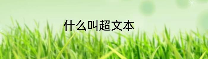 什么叫超文本