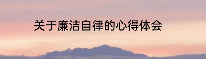 关于廉洁自律的心得体会