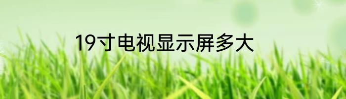 19寸电视显示屏多大