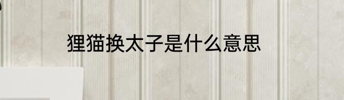 狸猫换太子是什么意思