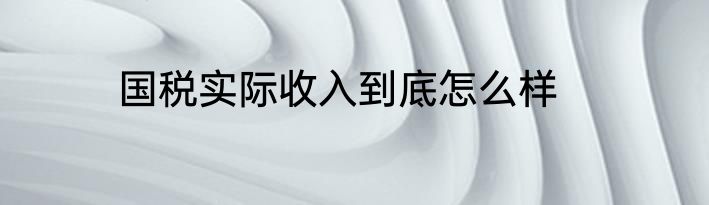 国税实际收入到底怎么样