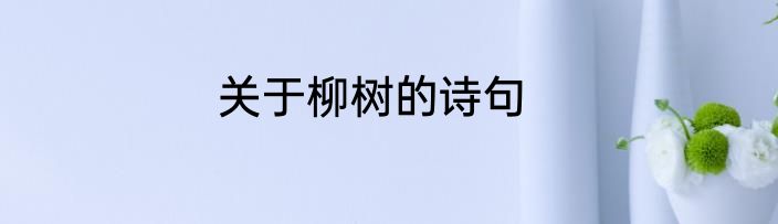 关于柳树的诗句