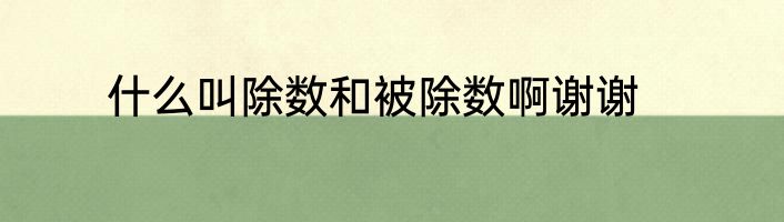 什么叫除数和被除数啊谢谢