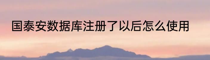 国泰安数据库注册了以后怎么使用