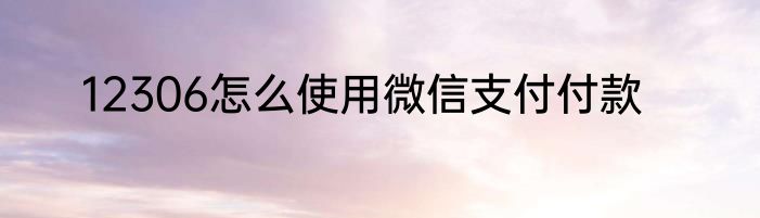 12306怎么使用微信支付付款