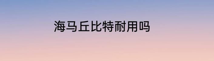 海马丘比特耐用吗