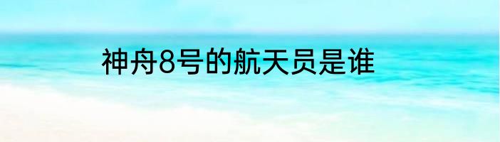 神舟8号的航天员是谁