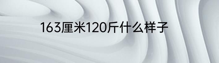 163厘米120斤什么样子