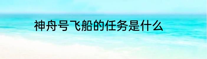 神舟号飞船的任务是什么