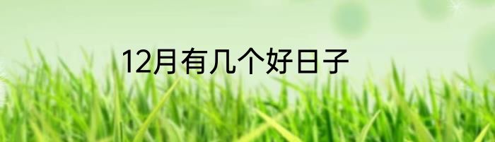 12月有几个好日子