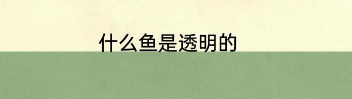 什么鱼是透明的