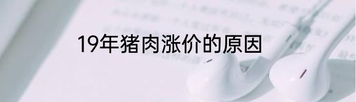 19年猪肉涨价的原因