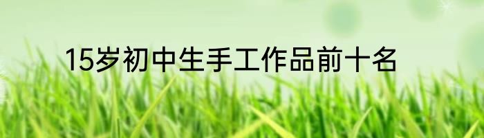 15岁初中生手工作品前十名