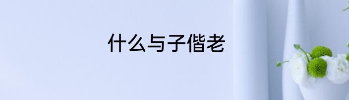 什么与子偕老