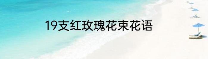 19支红玫瑰花束花语