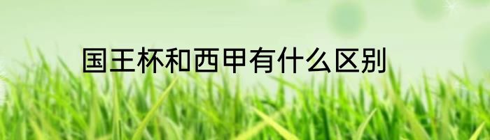 国王杯和西甲有什么区别