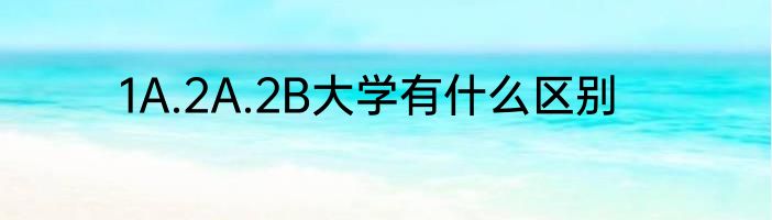 1A.2A.2B大学有什么区别