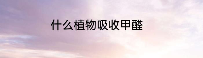 什么植物吸收甲醛