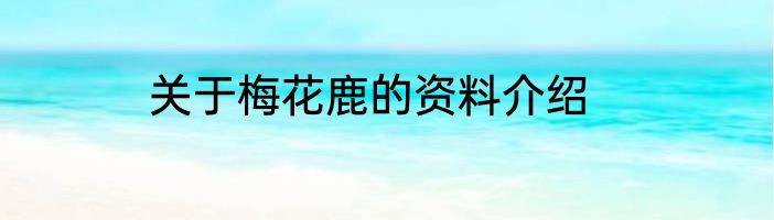 关于梅花鹿的资料介绍