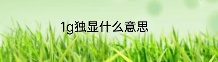 1g独显什么意思