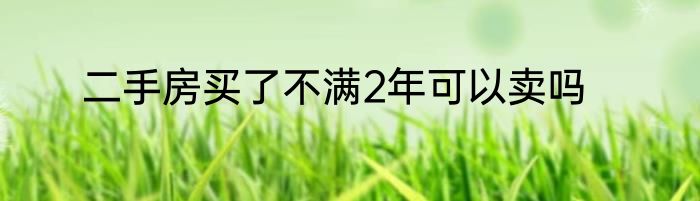 二手房买了不满2年可以卖吗