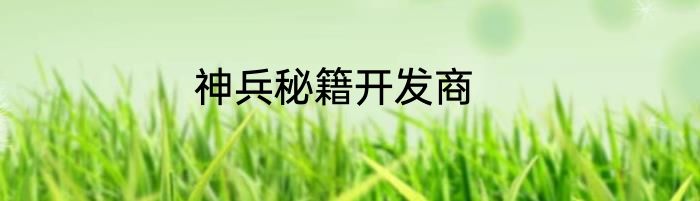 神兵秘籍开发商