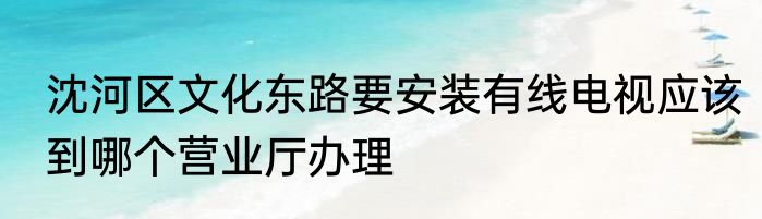 沈河区文化东路要安装有线电视应该到哪个营业厅办理