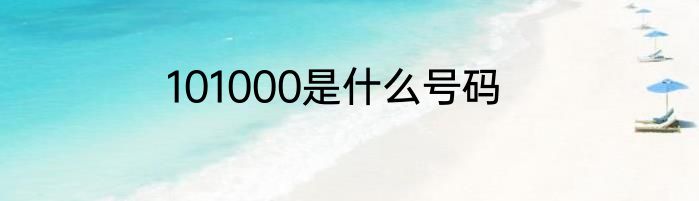 101000是什么号码