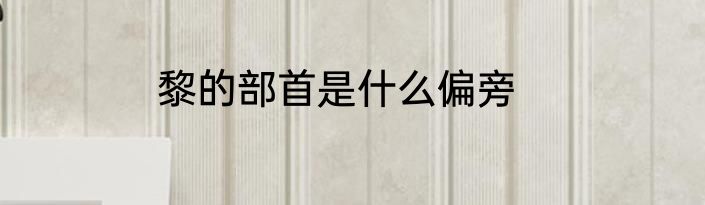 黎的部首是什么偏旁