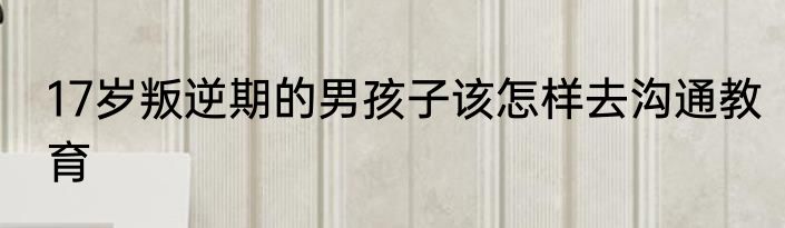 17岁叛逆期的男孩子该怎样去沟通教育
