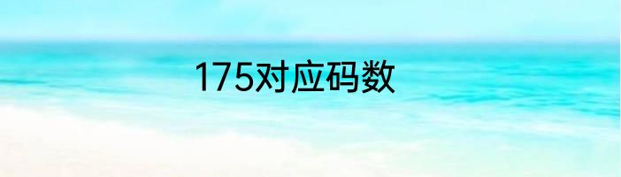 175对应码数