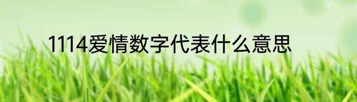 1114爱情数字代表什么意思