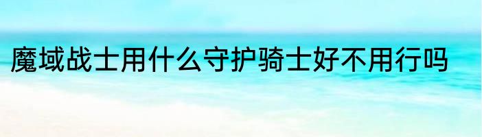 魔域战士用什么守护骑士好不用行吗