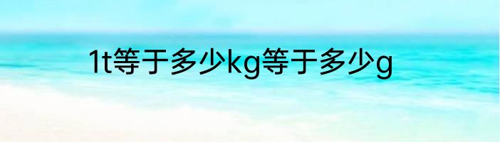 1t等于多少kg等于多少g
