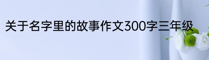 关于名字里的故事作文300字三年级