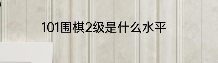 101围棋2级是什么水平